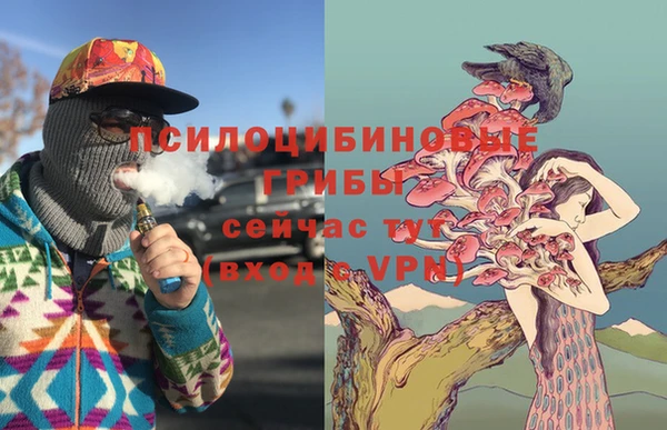 СК Липки