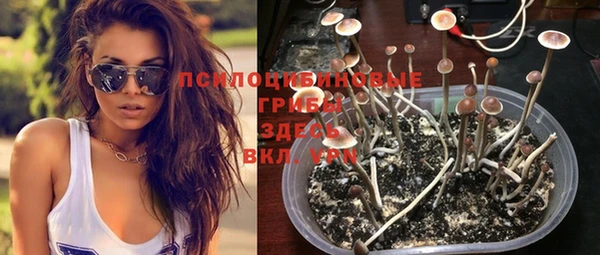 молекула духа Рославль