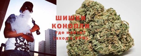 стаф Ростов