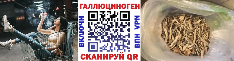 купить закладку  Темников  Псилоцибиновые грибы MAGIC MUSHROOMS 